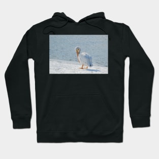 Pelican Hoodie